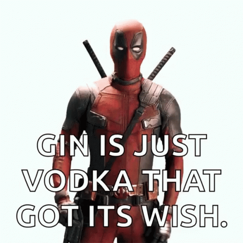 a poster that reads, gin is just vodka that got it's wish