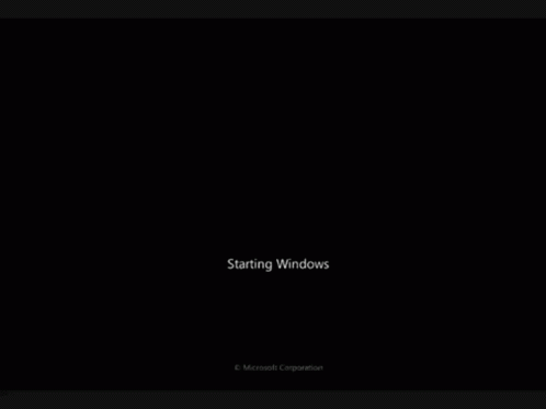 a black screen with text saying starting windows