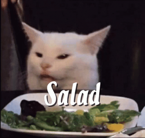 a cat sitting at a table in front of a plate of salad