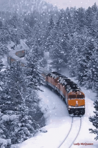 the train has many cars attached to it in the snow