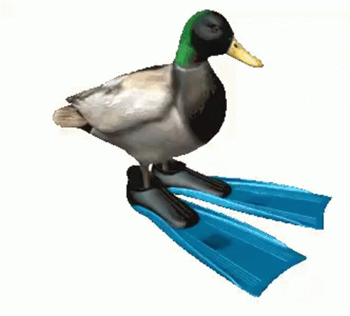 a 3d rendering of a duck on yellow and black scubas