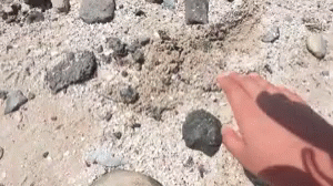 an image of a hand near rocks in the sand