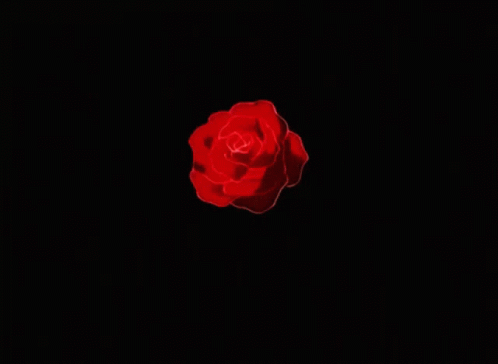 a single blue rose against a black sky