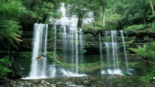 a small waterfall in the middle of a forest