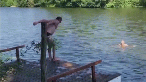 two men standing on the dock while a dog swims