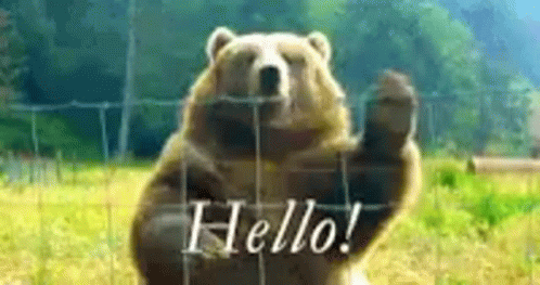 a bear is pointing to soing and his name is hello