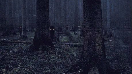 a po of a black forest is in the dark