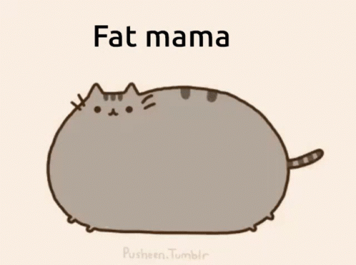 fat mammal sitting on top of a cat