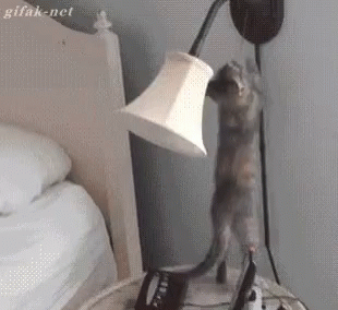 a cat scratching its head on a lamp with its paw
