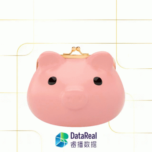 a small pig shaped blue case with the word data real written on it