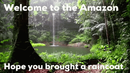 a forest scene with the words, welcome to the amazon