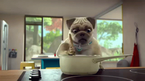 a small dog sitting in a kitchen stirring his pan