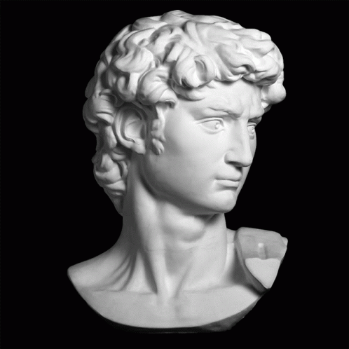 a close - up image of a bust of a man