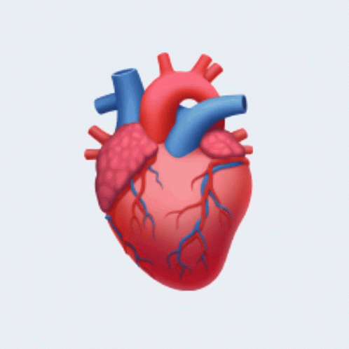 a computer graphic of an animated human heart