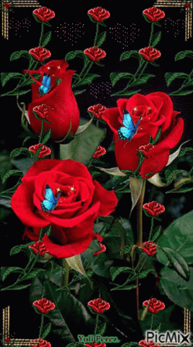 three roses sit in the middle of a plant