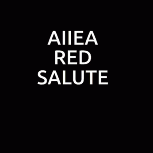a picture with the words aiea, red salute