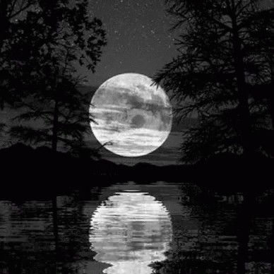 the moon is seen behind trees over the water