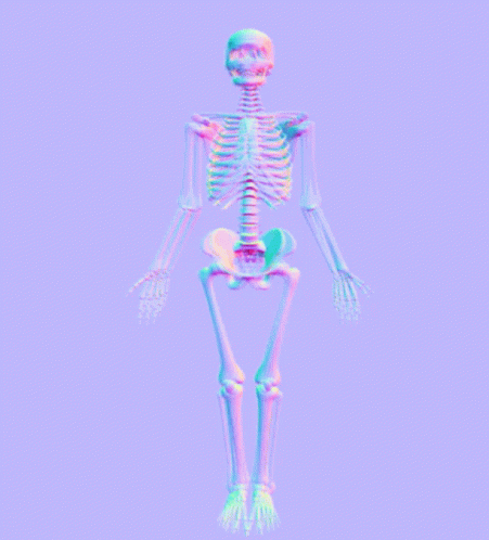 a colorful rendering of the human body is shown in this image