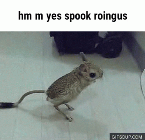 an owl in a room with the caption i'm sorry you don't listen to them