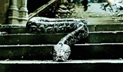 the large snake is resting on the stairway