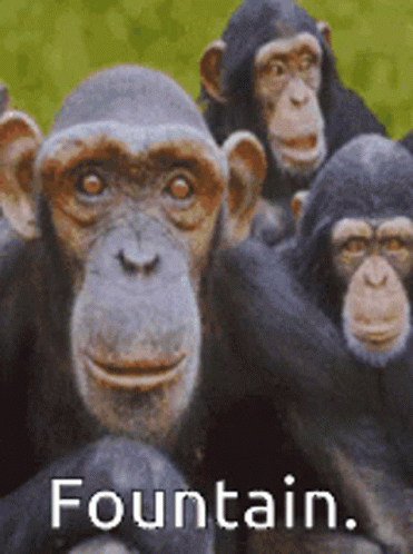 four chimpankins sitting side by side with text that says fountain