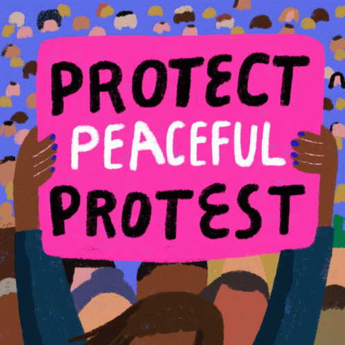 a protest sign with people holding the words protect peaceful protest