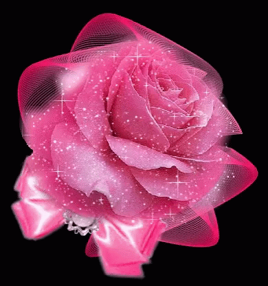 a pink rose that is on a white table