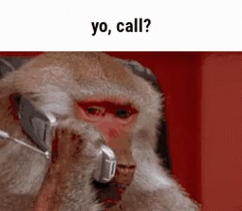 a monkey talking on the phone with its mouth open