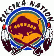 the logo of the skika national