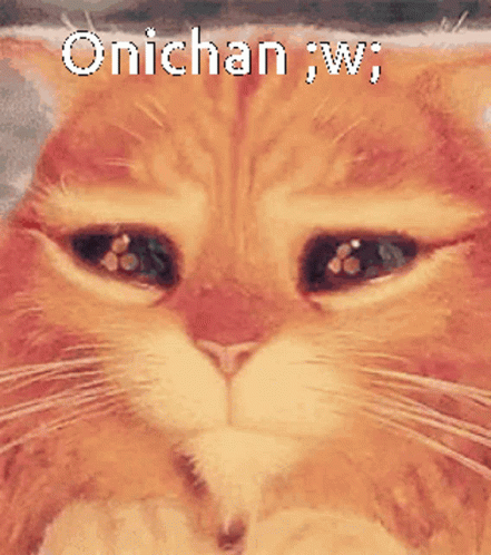 a close up of a cat with the words onichan w above it