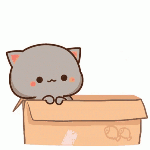 an image of a cat sitting in a box
