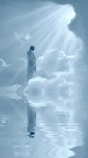 the man is standing in water with no shoes