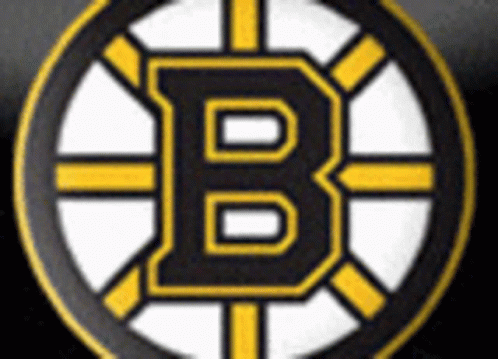 an image of a hockey logo with a light blue b