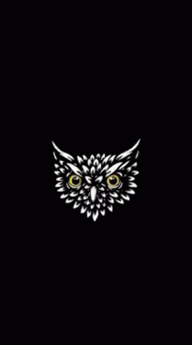 the owl face with blue eyes on black background