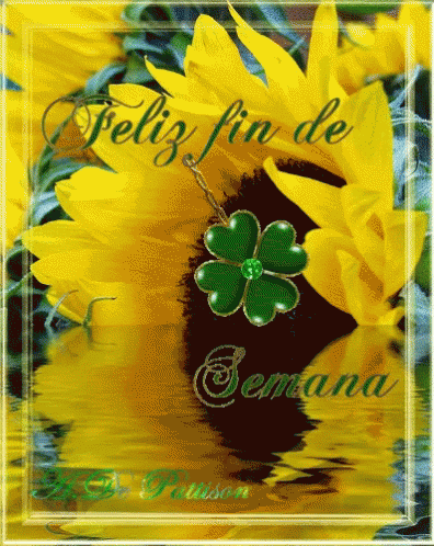 a picture with a flower and the words pelly fin de semmara