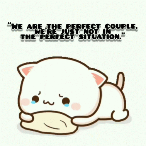 a cartoon cat with a caption saying that they are the perfect couple, we're just not in the perfect situation
