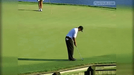 several ss of a man playing golf in different locations