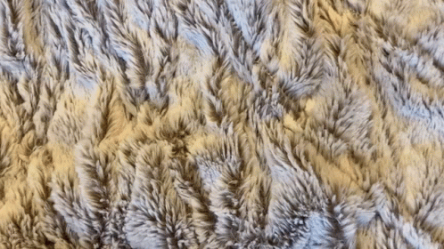 an abstract blue and white texture of a fur texture
