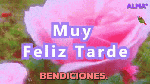 some flowers are in a field with the words muy feliz tarde on it