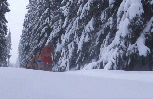 snowboarder walking through woods covered in snow and surrounded by trees