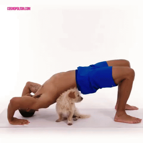 an image of man doing a plank exercise with a dog