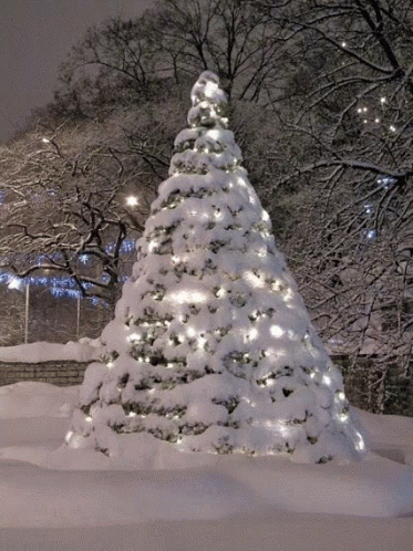 a snowy christmas tree has light decorations around it
