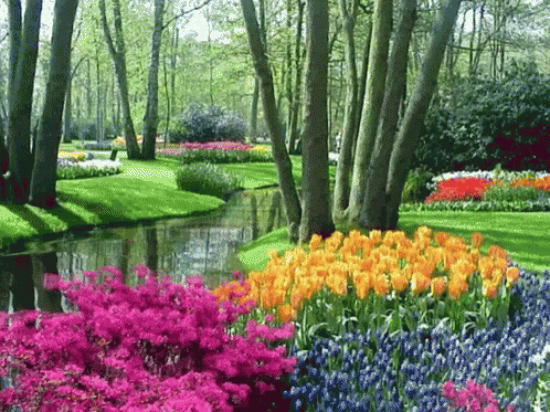 a beautiful garden scene with a pond surrounded by colorful flowers