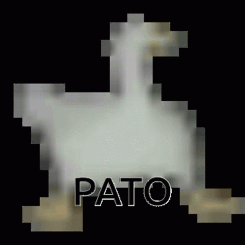 an image of the words patio in white on a black background