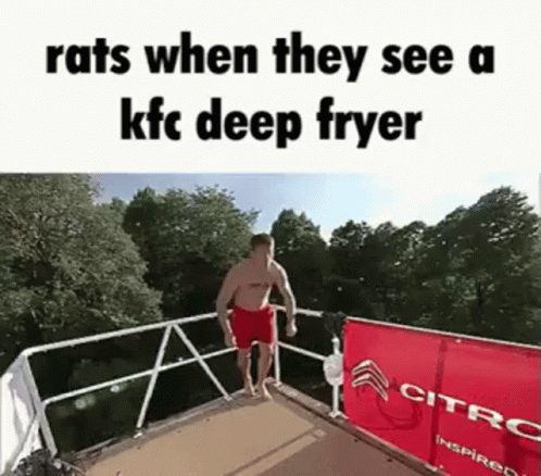 man on boat holding onto railing that says, rats when they see a kfc deep fryer