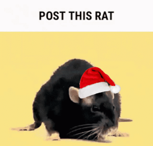 a rat wearing a hat with the words post this rat