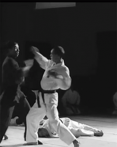 two men practicing karate at an indoor event