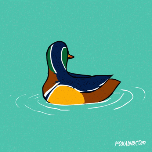 a duck sitting in the water in a green field
