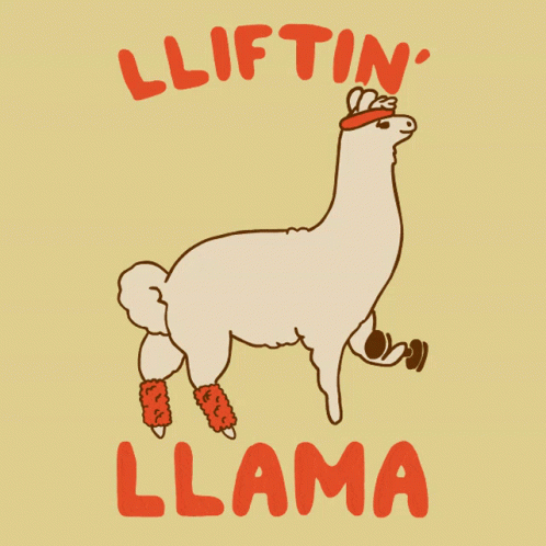 llama with snow boots and blue socks reads, lifted by the bottom of his leg, lies down