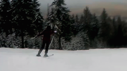 the person is cross country skiing down a mountain